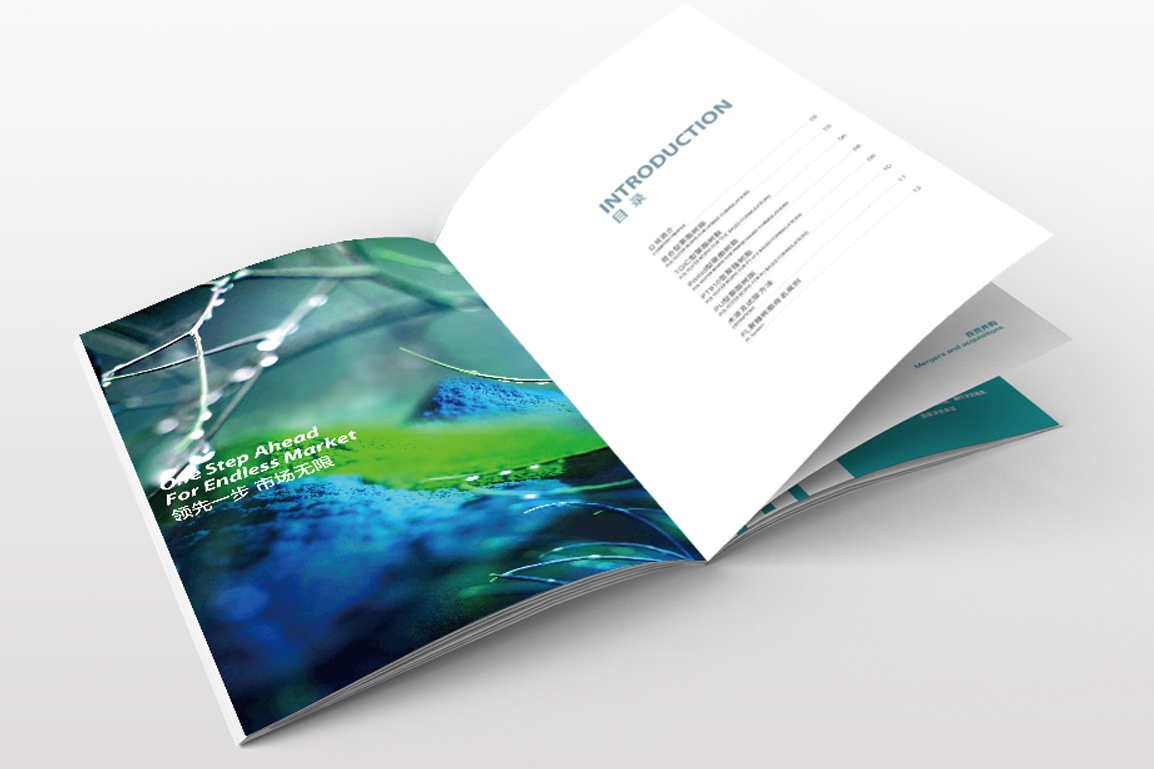 产品宣传品/手提袋/产品包装/展会物料